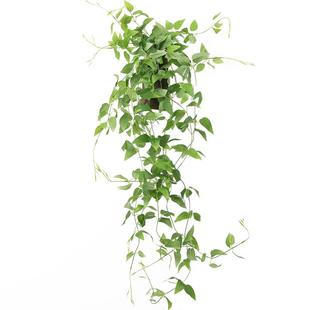 阿楹 墙上仿真植物装饰壁挂花盆 吊垂藤阳台草创意墙面绿植小挂件