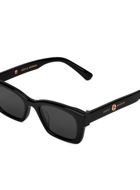 适合墨镜gm适合小脸戴的高级女