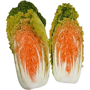 红心娃娃菜菜种子蔬菜香菜菠菜白菜生菜芹菜萝卜菜籽葱种大全四季