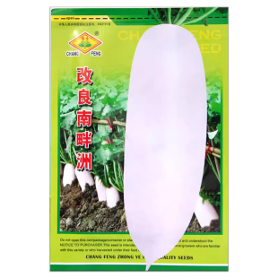 南畔洲迟萝卜种子晚熟白萝卜越冬耐抽苔春不老萝卜秋冬播蔬菜种籽