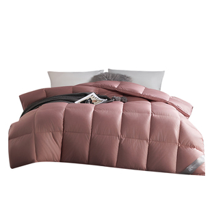 红豆白鸭绒被羽绒冬被学生四季通用加厚保暖被芯航天控温春秋被子