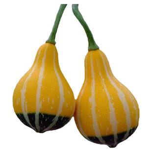 迷你观赏小南瓜种子大全籽种巨型春四季贵族奶油南瓜籽稀有飞碟瓜