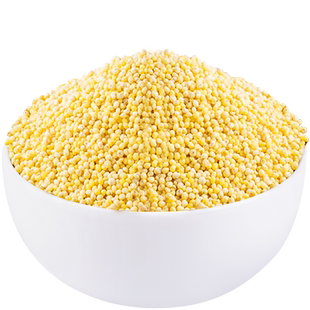 【斤数齐全】大黄米软黄米糯黄米大黄米包子馅料营养早餐粥原料