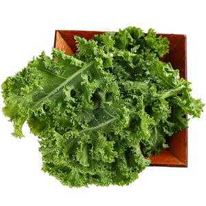 新鲜羽衣甘蓝5斤包邮蔬菜嫩叶甘兰牡丹kale健身榨汁西餐沙拉食材