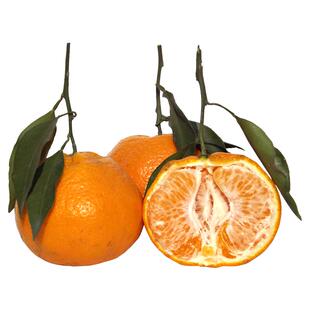 四川春见耙耙柑现摘现发粑粑柑10斤当季整箱新鲜水果精选大果包邮