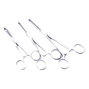 医用不锈钢组织钳爱丽丝钳鼠齿钳组织抓钳夹持软组织镊子鼠齿钳