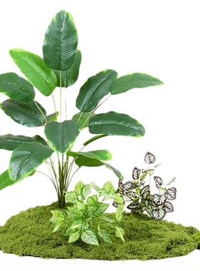 仿真绿植苔藓造景植物室内小景观
