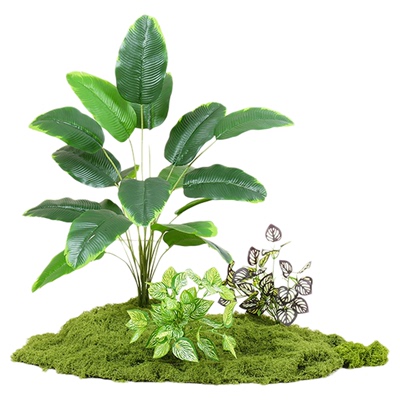 仿真绿植苔藓造景植物室内小景观