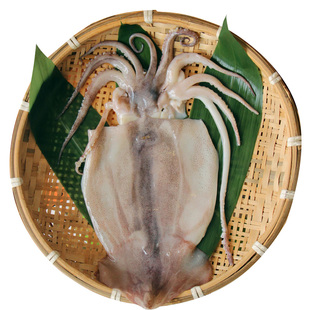 【大洋世家】清洁阿根廷鱿鱼480g/袋*2 海鲜 冰冷 精选大个鱿鱼