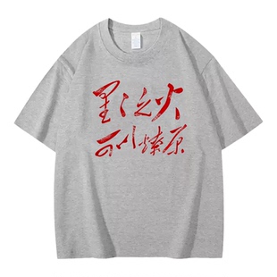 Lyonava【星星之火 可以燎原】夏季国潮文字短袖t恤男纯棉宽松圆