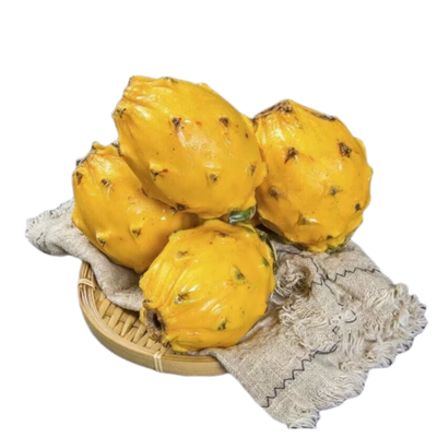 燕窝火龙果树苗带果新品种麒麟果苗黄皮白肉火龙果嫁接苗当年结果