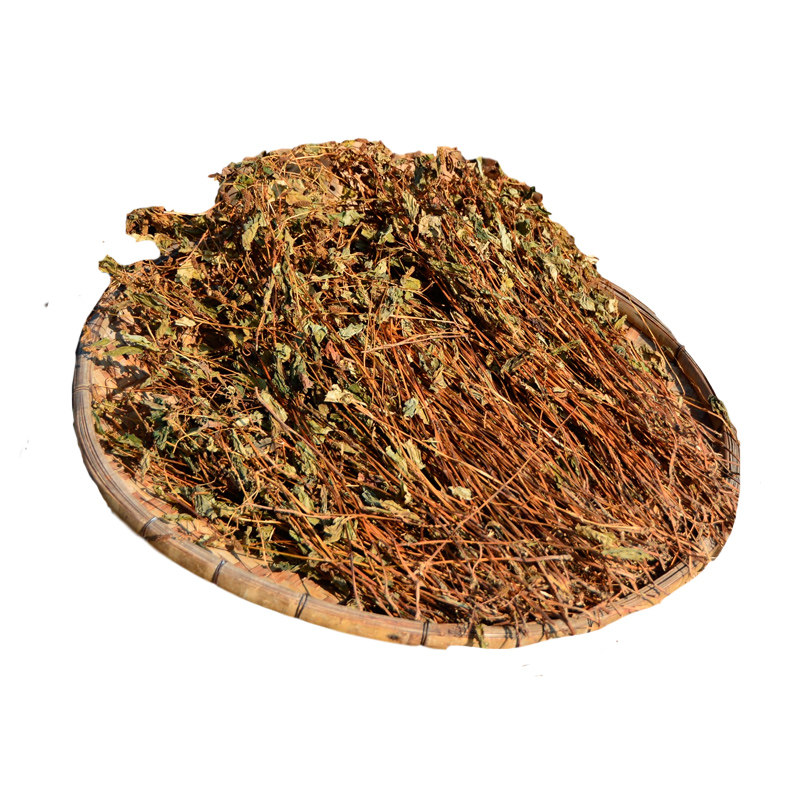 深山鱼腥草整棵晒干广东凉茶药材