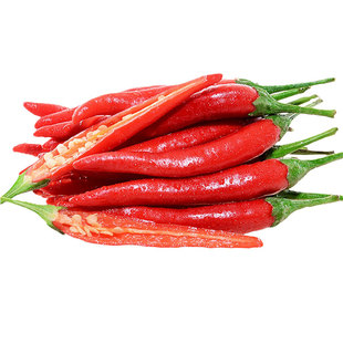 映山红朝天椒种子中早熟高产一代杂交超辣辣椒籽春夏秋冬四季播种