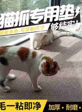 宠物猫抓垫耐磨防滑地毯非剑麻沙发地板保护垫猫咪磨爪地垫吸水垫