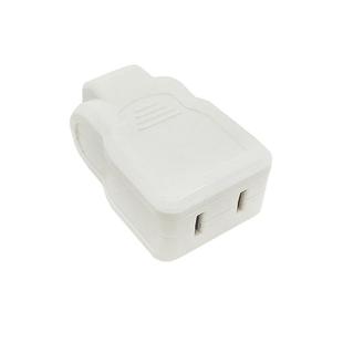 纯铜两孔二脚2孔电源母插头监控插座电器电线10A公220V延长接线头