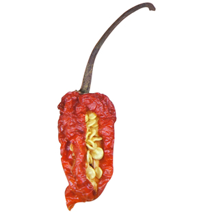 100粒印度魔鬼辣椒云南涮涮辣种子超特辣度100万正品正宗产地直销