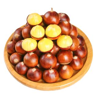 2025年福建建瓯特产锥栗板栗生新鲜油栗高山农家现摘榛子糖炒栗子