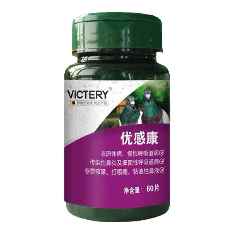 衣原体呼吸道单眼伤风鸽子汉诺威