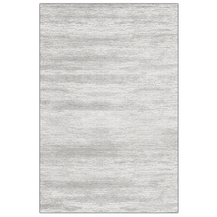 地毯客厅2025新款轻奢高级简约风沙发茶几毯灰色卧室进门入户地垫