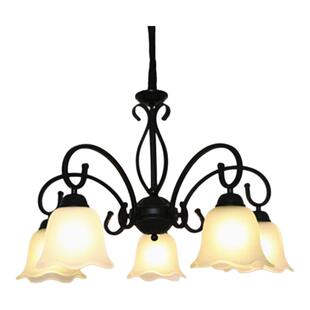 美式简约客厅餐厅 卧室吊灯2025新款复古大气欧式乡村中山灯具