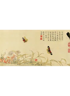 赵昌写生蛱蝶图花鸟画蝴蝶