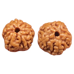 天然高密爆肉树王小金刚菩提原籽散珠素珠108颗手串DIY配饰男女