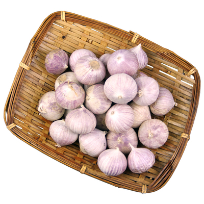 秋水时至紫皮大蒜有坏包赔