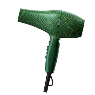 火之凤电吹风机发型师专业高温大风超轻静音大功率发廊风筒5610H