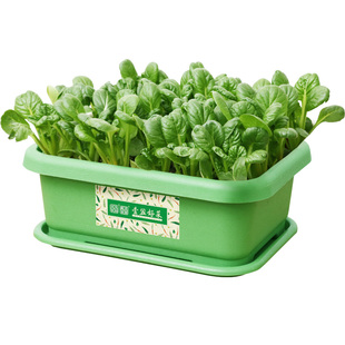 家庭阳台种菜盆蔬菜种植神器长方形花盆塑料长条槽室内特大号韭菜