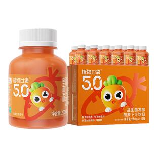 远方的梦想爆火新鲜胡萝卜汁可口好喝没怪味200ml*6瓶益生菌发酵