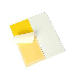 灭蝇纸灭蝇灯专用粘蝇板粘捕式灭蚊蝇灯贴虫纸强力粘苍蝇灭蚊灯纸