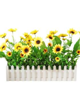 【热卖单品】芦苇雏菊遮挡盆栽花
