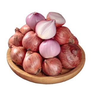 正宗东北毛葱头鬼子葱珠葱小毛葱头大毛葱红葱头小洋葱新鲜蔬菜