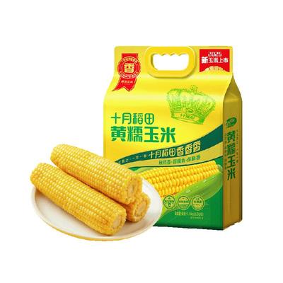 十月稻田黄糯玉米棒低脂
