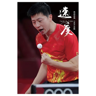 乒乓球室装饰画体育馆文化墙面挂画明星运动员激励志标语宣传海报