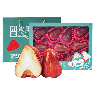 百果园门店同款招牌水风铃莲雾