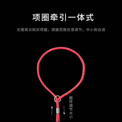 幼犬小型犬P绳狗狗牵引绳训犬P链尼龙项圈拉带一体绳泰迪比熊博美