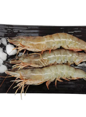 野生滑皮虾新鲜仿对虾鲜虾包邮大虾海捕白虾鲜活海鲜冷冻水产呛虾