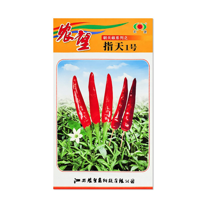 农望指天1号辣椒种子朝天椒