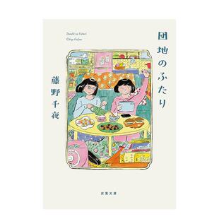 【现货】小说 住宅区的两人 団地のふたり 原版日文小说 善本图书