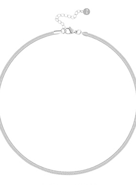 许我耀眼赵露思许妍同款叠戴蛇骨链女冬季法式轻奢小众高级感项链