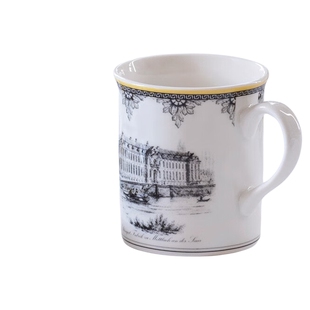 Villeroyboch德国唯宝马克杯对杯水杯陶瓷杯奥顿情侣杯子新婚礼物