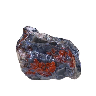 精品新疆木化石  原石摆件 硅化木 木变石 奇石盆景石 观赏石