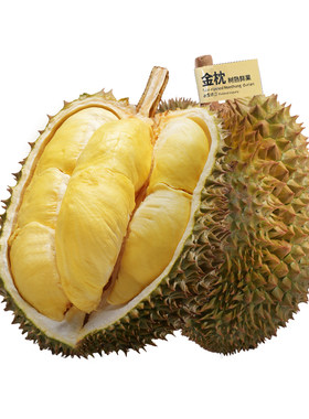 市舶士金枕榴莲树熟鲜果