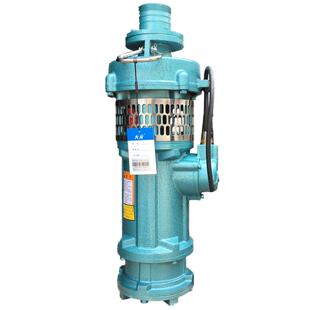 浙江大元QY油浸式清水潜水泵 抽水农用船用喷泉高扬程大流量市政