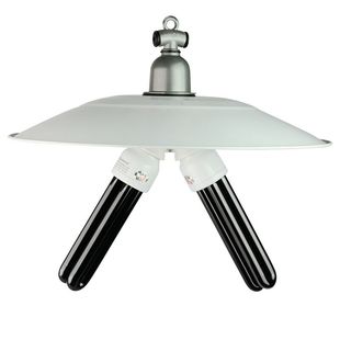 12V黑光诱虫紫光灯48V鱼塘养殖果园杀虫引虫灯吸虫灯蝼蛄灯太阳能