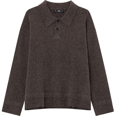 JDV商场同款深咖男士翻领针织衫