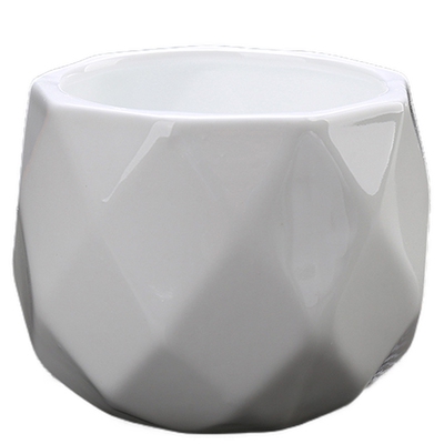 陶瓷简约可爱卡通多肉白花盆