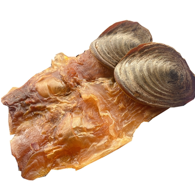 响螺片煲汤材料螺肉滋补食材