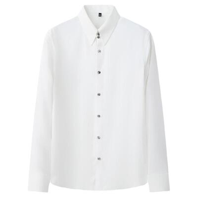 瑞莱夫大翻领法式长袖商务衬衫男